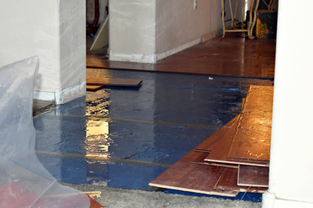 Professional Sewage Cleanup technician working in Carver, MA