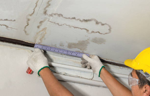 Reliable Sewage Cleanup contractor in Carver, MA by Water Damage Irwin